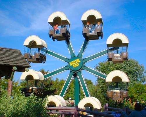 mini-Ferris-wheel-for-sale